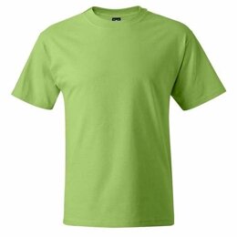 Hanes | 6.1 oz Ringspun Cotton Beefy-T