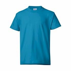 Hanes 5.5 oz 50/50 Youth T-shirt