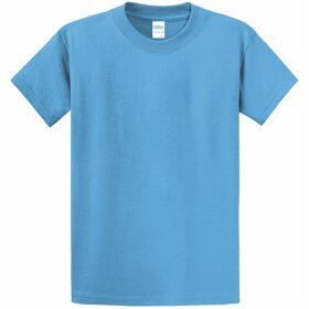 Port and Company Essential T-Shirt